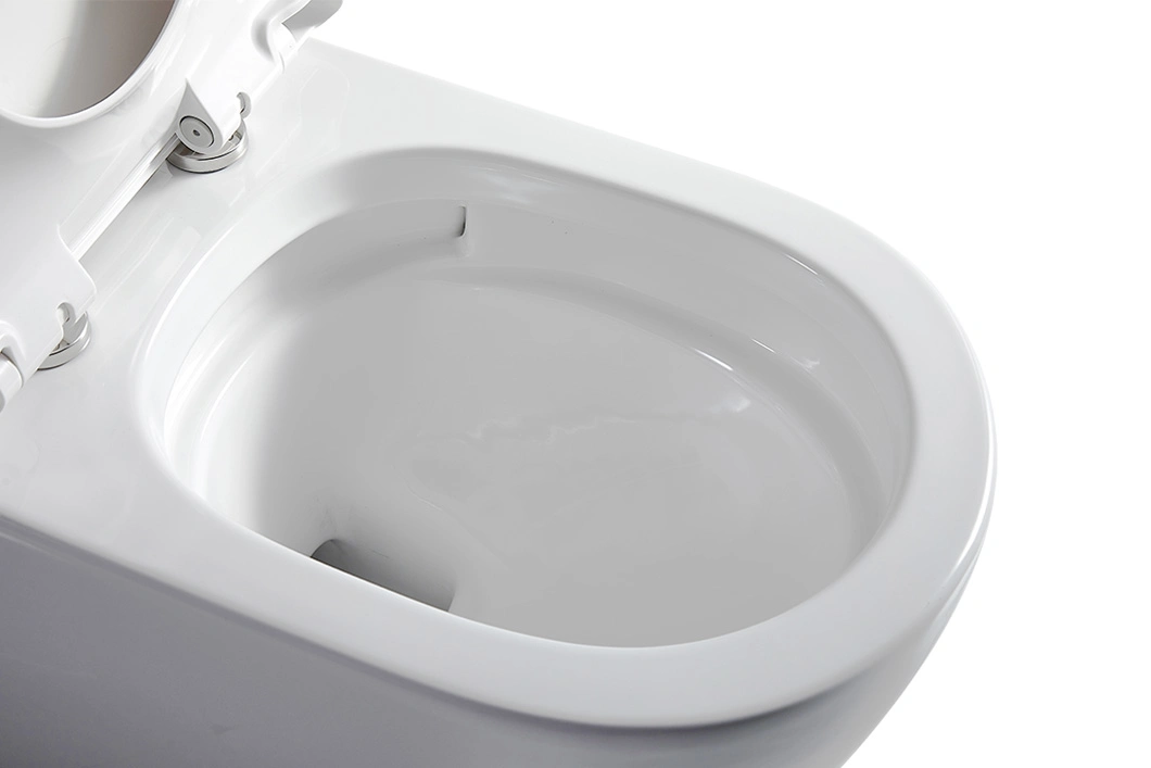 Cupc One Piece Ceramic Wc Water Closet Dual Flush Bathroom Accessory Toilet Bowl Suites